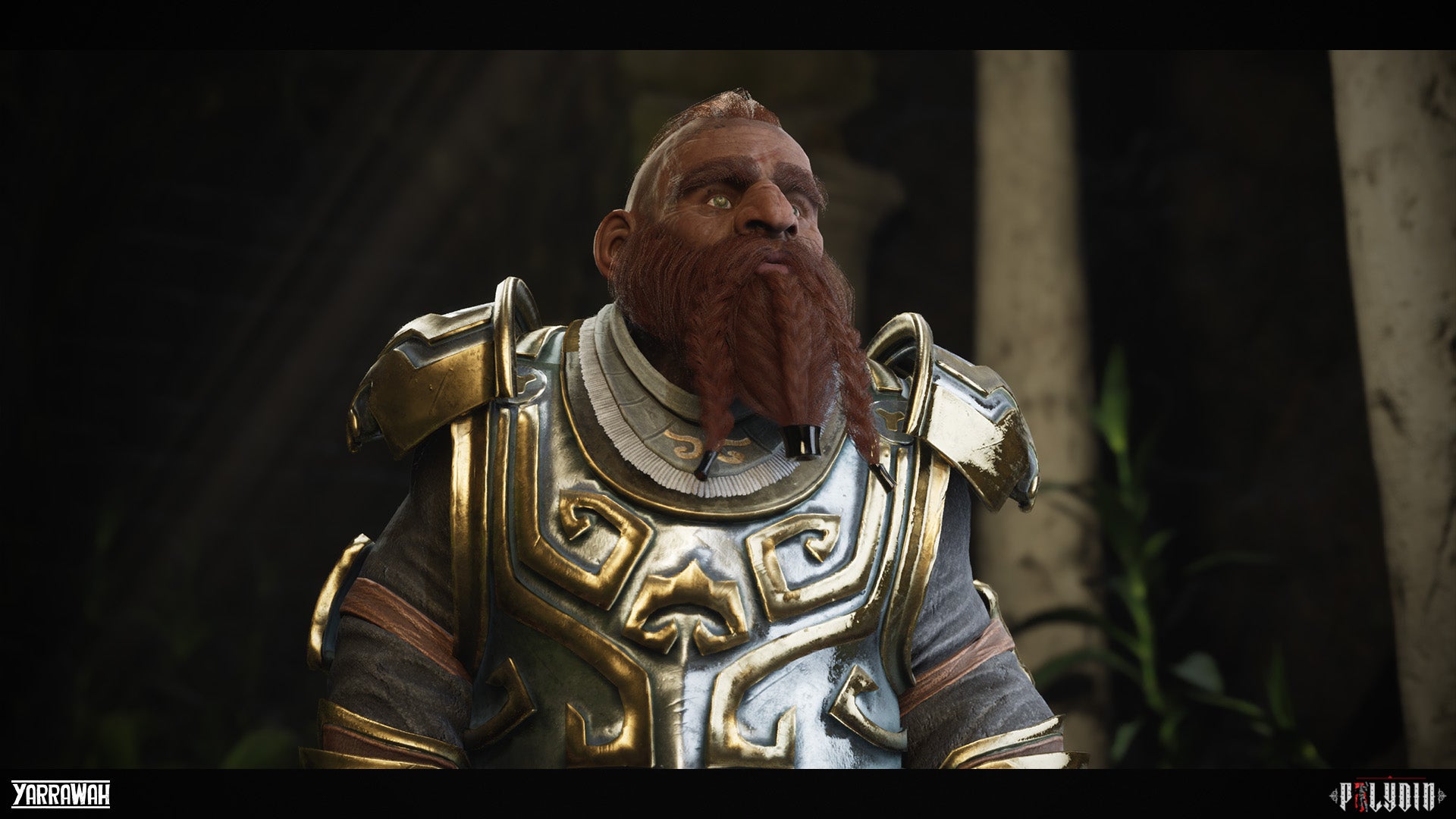 dwarf beard styles